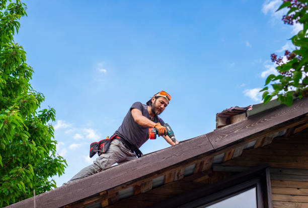 Roof Insulation in Lake Magdalene, FL
